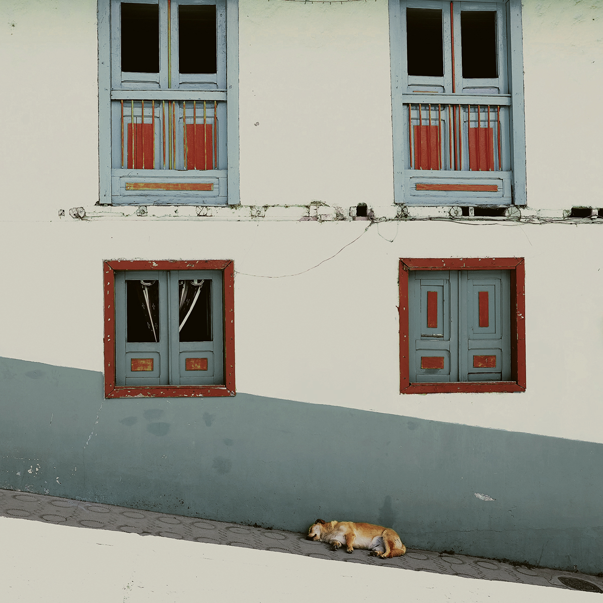 Café Suave y Equilibrado - Imagen 3